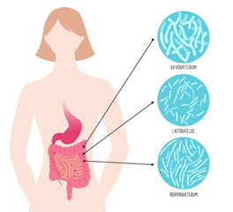 Types of useful beneficial probiotics. Vector illustration.