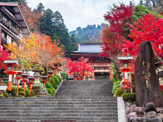 秋の京都　鞍馬寺