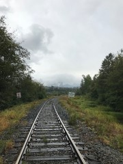 Fototapeta premium railway in the forest