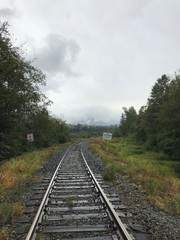 Fototapeta premium railway in the forest