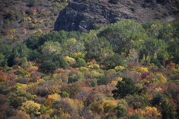 Fototapeta na wymiar Colorful autumn landscape at the foot of the mountain