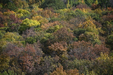 Fototapeta premium Colorful autumn landscape at the foot of the mountain