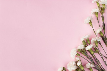 Naklejka na ściany i meble Flowers on a pink background