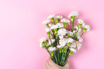 Flowers on a pink background