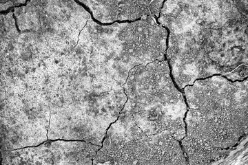 Obraz premium Dry drought land background. Cracked soil, hot climate dehydration concept. Black white monochrome photo, film noise grain.