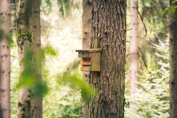 Nistkasten am Baum