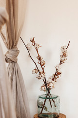 Cotton branches in glass vase