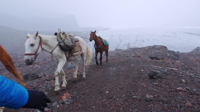 Tourist walks towards the foot of glacier crossing a caravan of pack horses, Georgia, Caucasus, slow motion