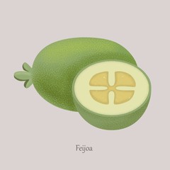 Feijoa sweet tropical berry. Ripe feijoa exotic juicy berry whole and cut. Vector illustration berry on grey background and logo.