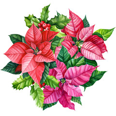 Christmas plant, bouquet of poinsettia flower on an isolated white background. Watercolor illustration, botanical painting.