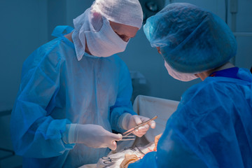 Children's surgeons perform urological surgery. A man and a woman in a mask, and a blue sterile...