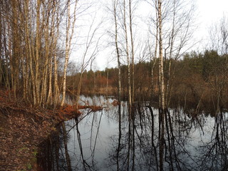 In autumn, after rains, the river spilled and flooded the garden, forest, meadow.