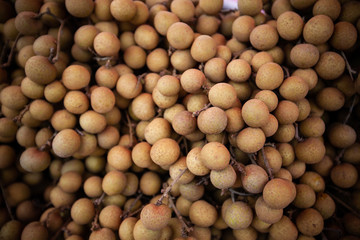 Longan background