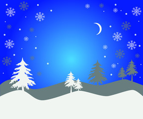 Fototapeta premium night forest with christmas trees