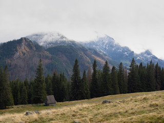 Beautiful view on the Rusinowa Polana, Tatra mountains in Poland © Wiktoria Matynia