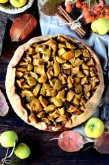 Apple Galette with cinnamon, autumn still life
