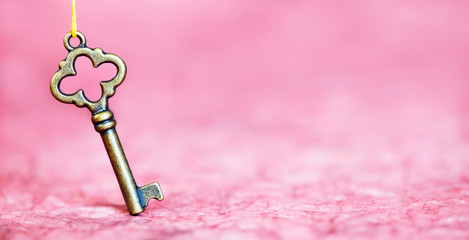 Life coaching concept. Motivation, success, mentor gold key on a pink background, web banner.