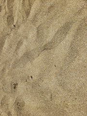 Sand texture. Sandy beach for background. Top view