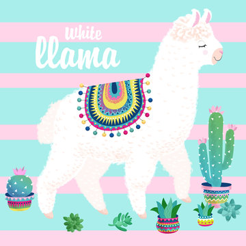 white llama, cacti on a striped background