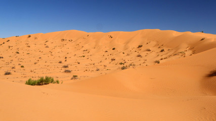 Fototapeta na wymiar Sahara deserto e dune