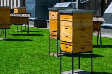 Hives in apiary on the roof of modern building in the downtown