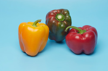 three peppers still life