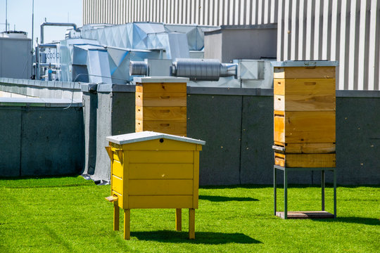Hives in apiary on the roof of modern building in the downtown