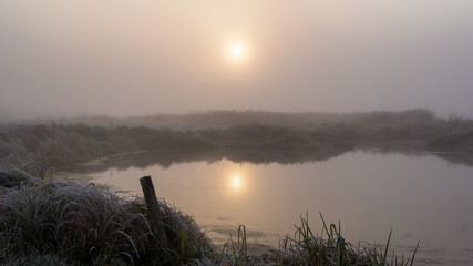 Krajobraz wiejski Podlasia, Poranek z mgłami i szronem, Wierzby z Doliny Narwi © podlaski49