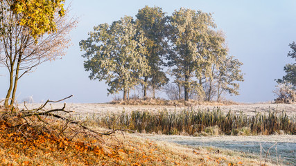 Krajobraz wiejski Podlasia, Poranek z mgłami i szronem, Wierzby z Doliny Narwi © podlaski49