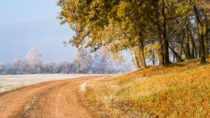 Krajobraz wiejski Podlasia, Poranek z mgłami i szronem, Wierzby z Doliny Narwi © podlaski49