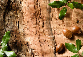 holm oak leaves and acorns on wood texture background