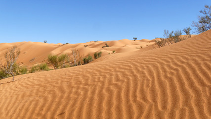 Sahara deserto e dune