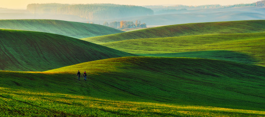 hilly field. a tourist walks around the field. woman admires the beauty of nature