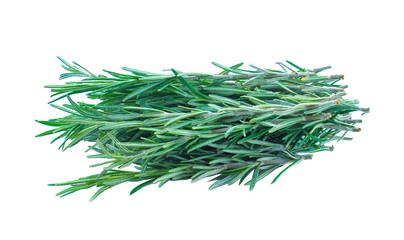 fresh rosemary isolated on white background