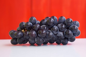 Dark blue grapes on red background. Seedless grapes.