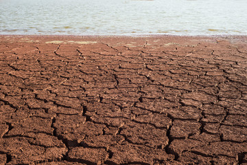 dry cracked coast of the lake. Changing of the climate Kryvyi Rih, Ukraine