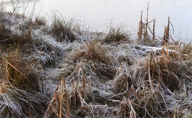 meadow with withered grass on the shore of a winter lake. Background of the calm, natural shades