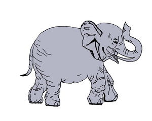 illustration of an elephant
