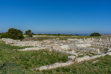 Fototapeta na wymiar Gnathia Roman Ruins in Apuglia
