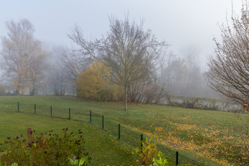 Autumn fog in the morning 