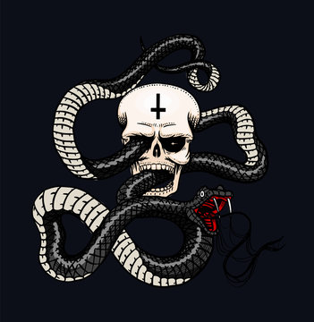 Snake with a skull in Vintage style. Serpent cobra or python or poisonous viper on a black background. Engraved hand drawn old reptile sketch for Tattoo. Anaconda for sticker or logo or t-shirts.