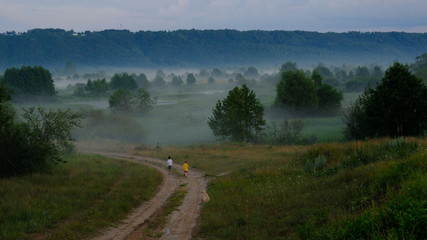 Summer landscape: two children and a puppy run into the distance on the road in the fog