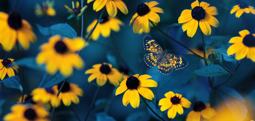Tropical butterfly and small yellow bright summer flowers on a background of blue foliage in a fairy garden. Macro artistic image.