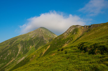 Obraz na płótnie Canvas Carpathian mountains landscape