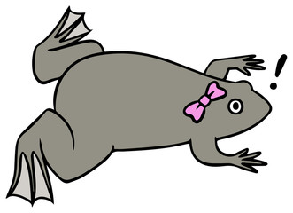 アフリカツメガエルのイラスト_!マーク