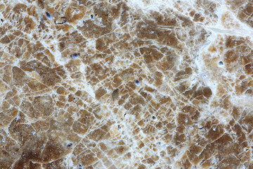 Brown pattern of Light Emperador marble texture or background