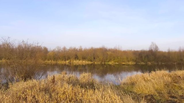 Sadzawka