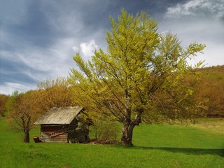 Obraz premium old house