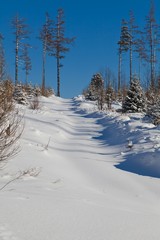 Snowy country side - like post card view.