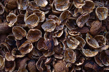 Walnussschalen